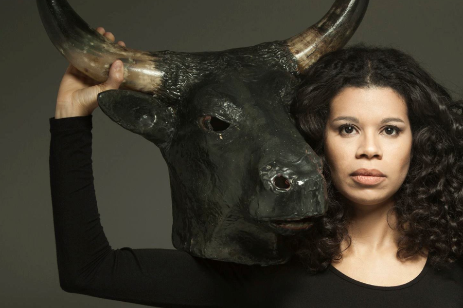 Ana Paula Maia, el hombre y el trabajo