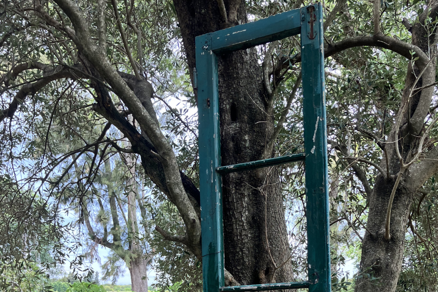 Raizal, talleres con inscripción