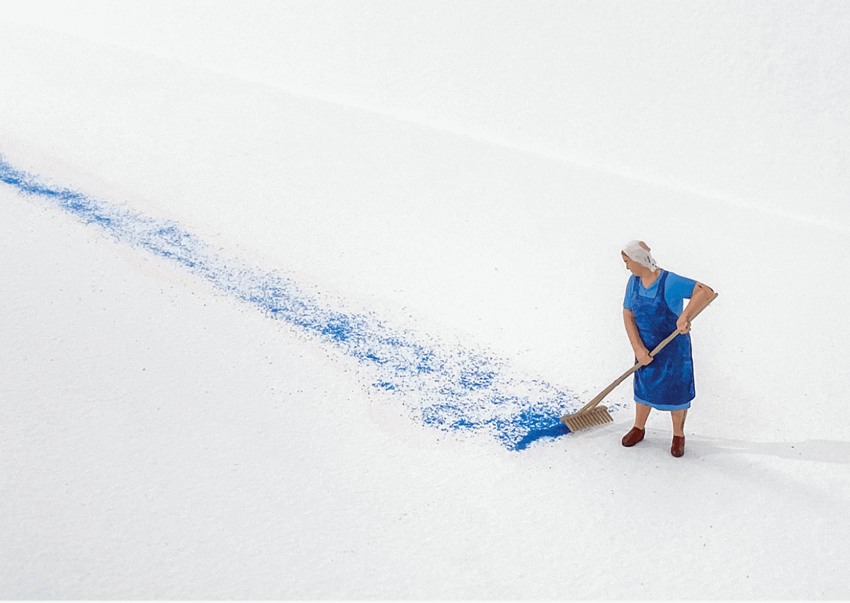 Recorrido literario. Una colección en texto