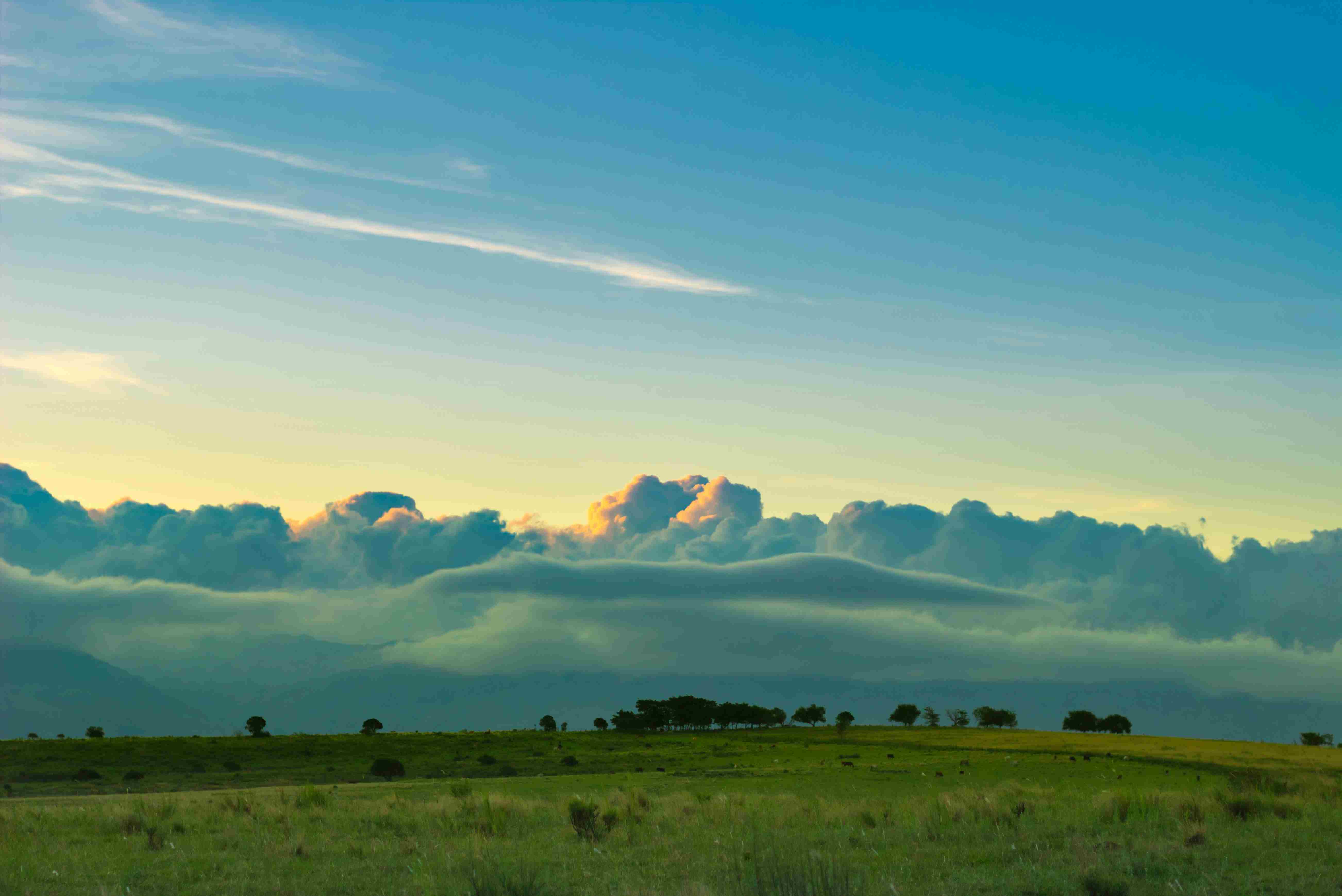 Panel. Pampa Western