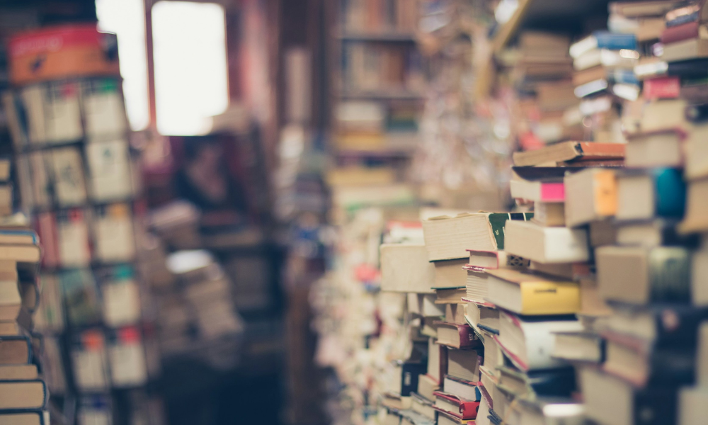 Campaña abierta: Libros para Bahía Blanca
